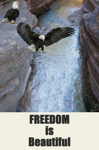 freedom