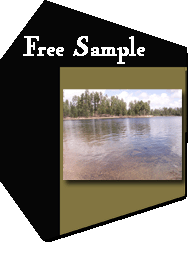 Sample