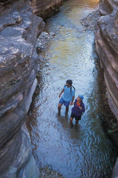 stream
